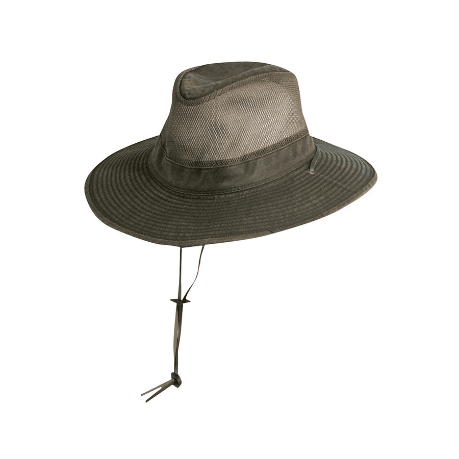 Sombrero Shadbush Brown