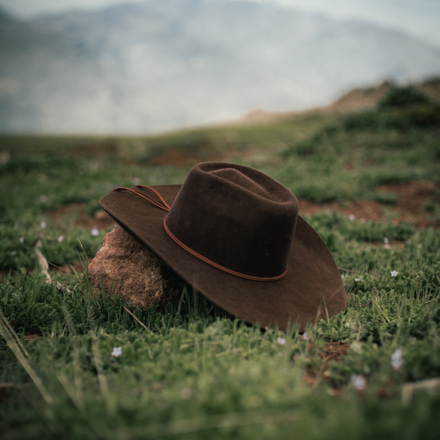 Sombrero Bull Rider Felt Tabaco